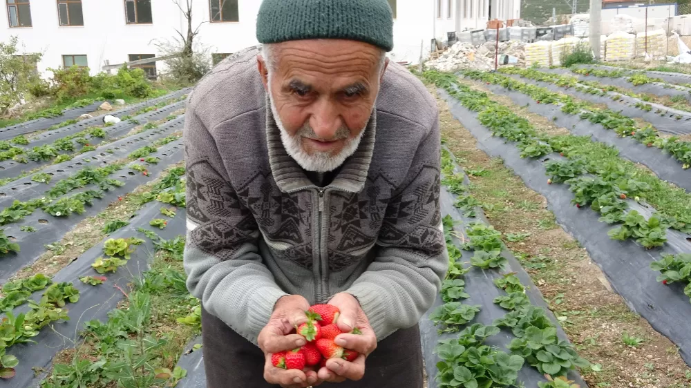 85 yaşındaki İbrahim dede "Hayır Bahçesi"nde yetiştirdiği meyve ve sebzeleri ücretsiz ikram ediyor