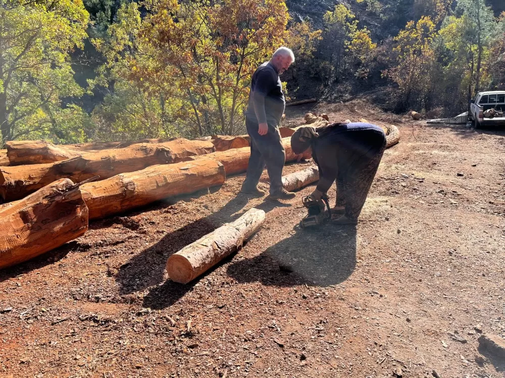 Karı-koca 35 yıldır ormanlarda damgalanan ağaçları kesiyorlar