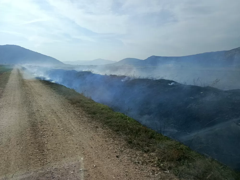 Bucak'ta sazlık alanda yangın! Ekipler tarafından söndürüldü