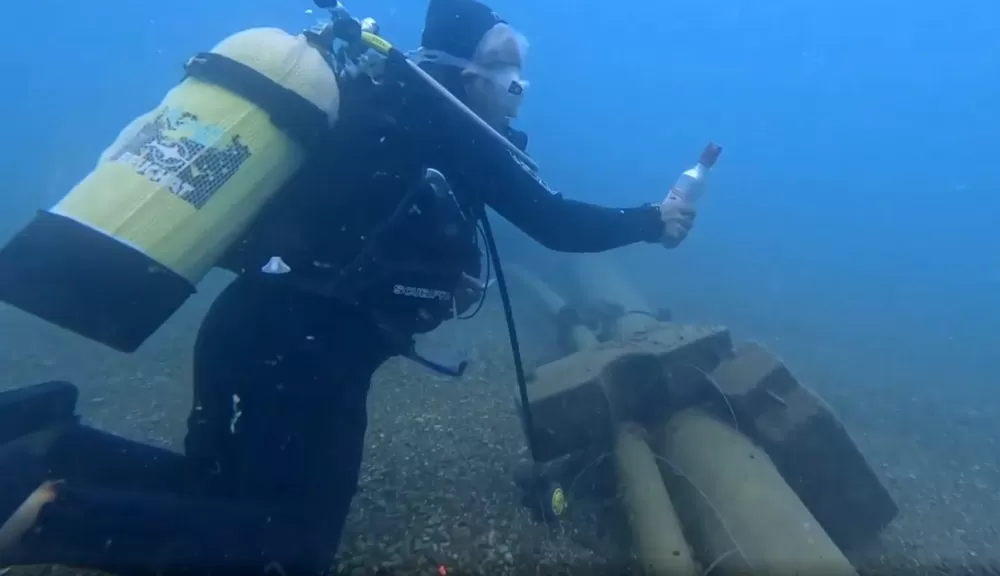 Sigara izmaritleri denizde pamuk tarlasına dönüştü
