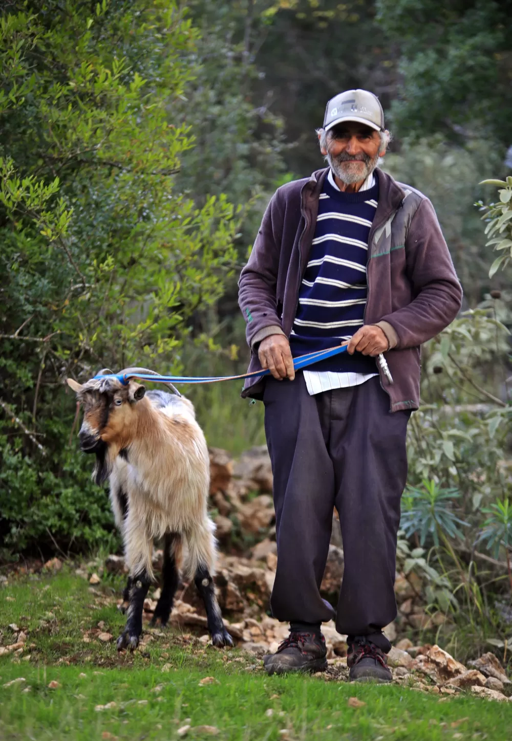 3 keçisini kurtlar yiyen yaşlı adam, mahsur kaldığı uçurumdan kurtarılan son keçisine sarılıp doyasıya öptü
