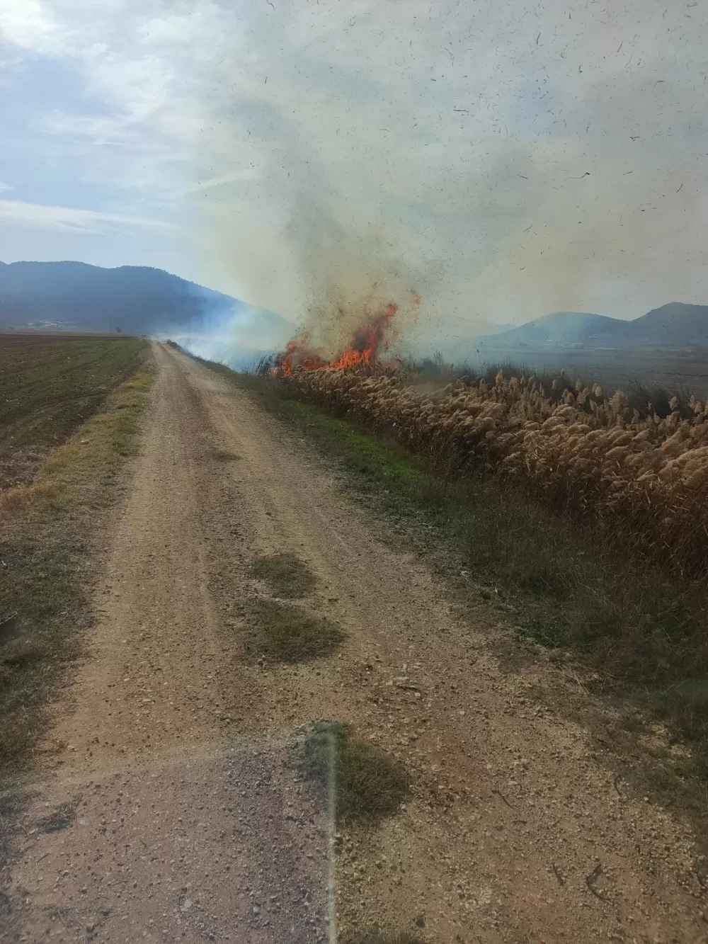 Bucak'ta sazlık alanda yangın! Ekipler tarafından söndürüldü
