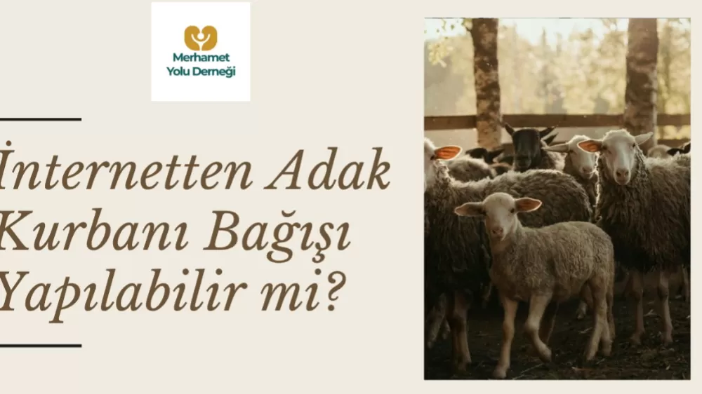 Adak Kurbanı Nedir? İnternetten Adak Kurbanı Bağışı Yapılabilir mi?