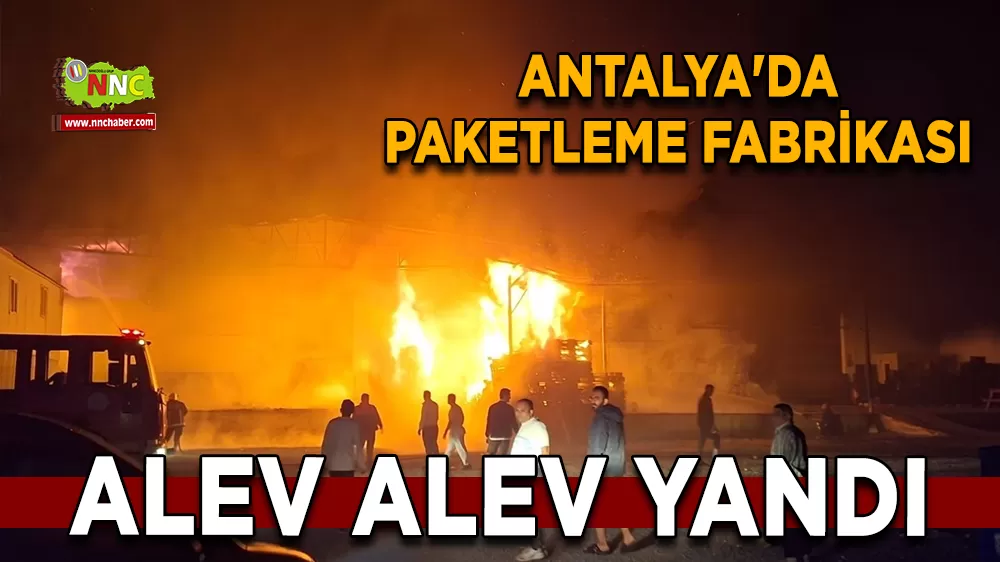 Antalya'da paketleme fabrikası alev alev yandı