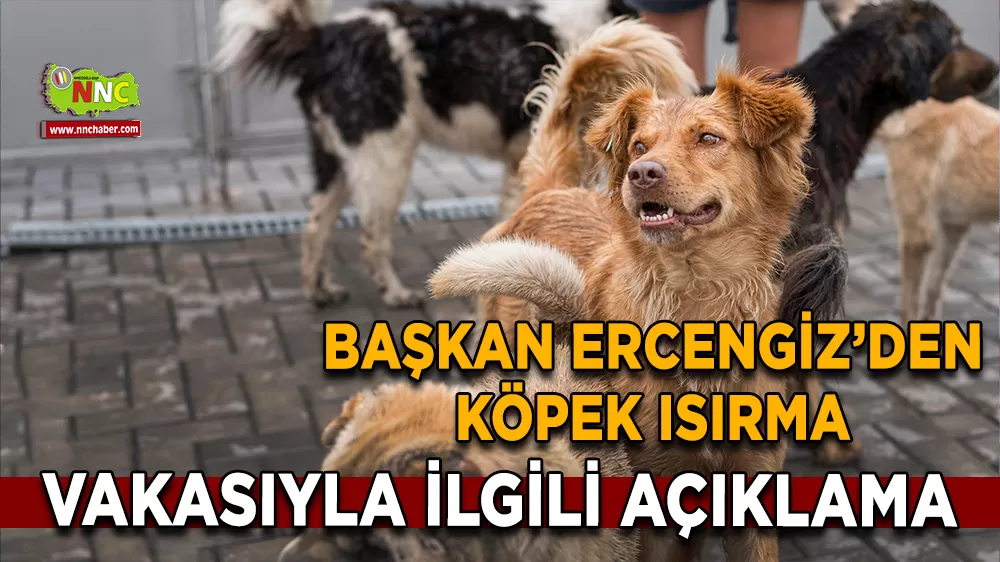 Başkan Ercengiz’den Köpek ısırma vakasıyla ilgili açıklama