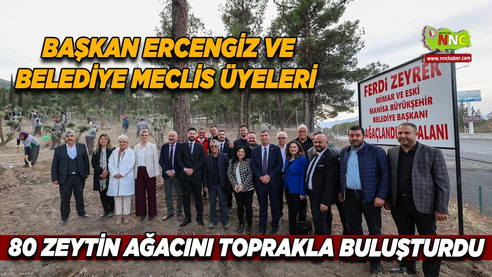Başkan Ercengiz ve Belediye Meclis üyeleri 80 zeytin ağacını toprakla buluşturdu