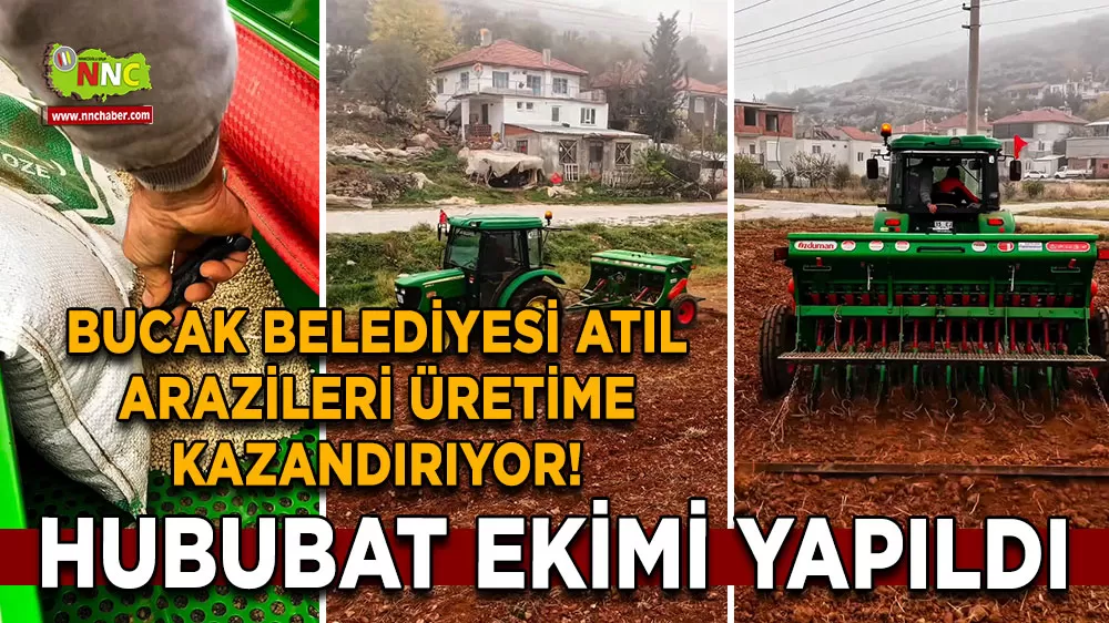 Bucak Belediyesi atıl arazileri üretime kazandırıyor!