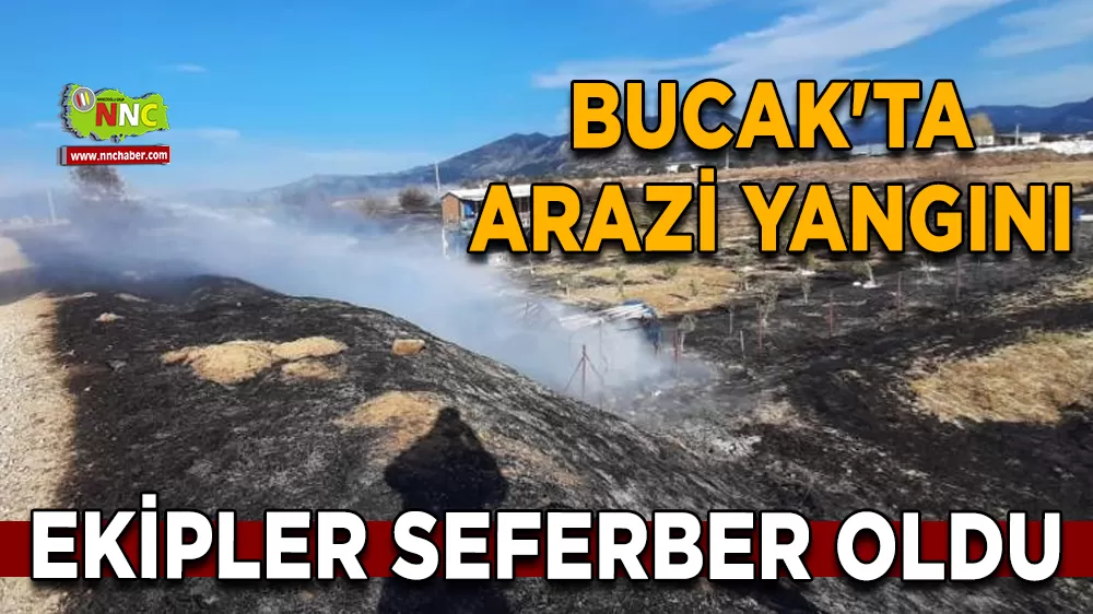 Bucak'ta arazi yangını Ekipler seferber oldu