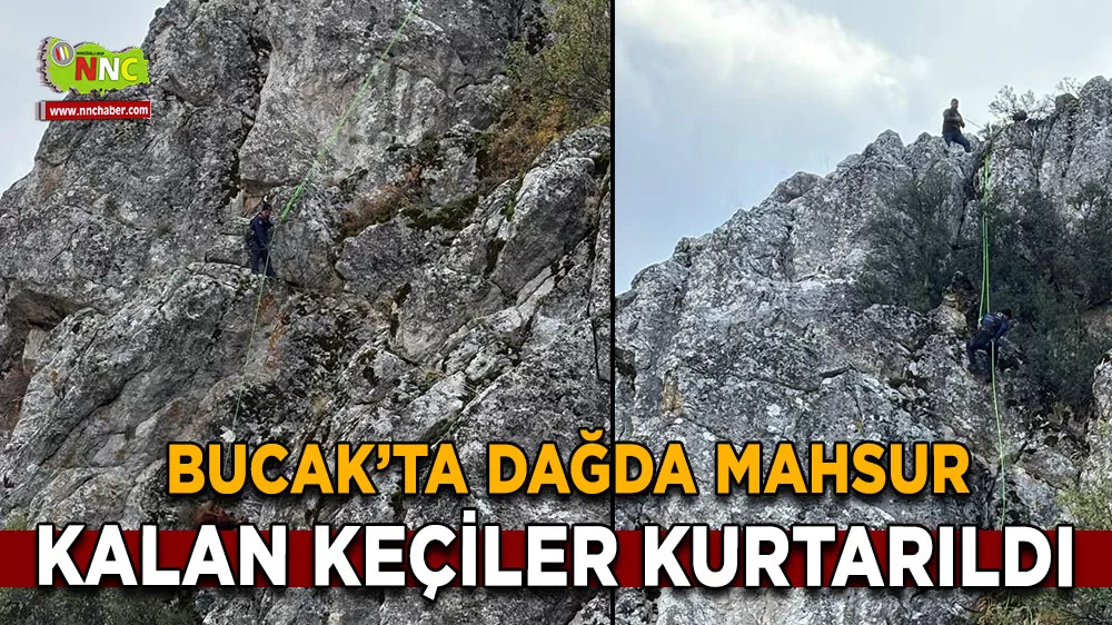 Bucak’ta dağda mahsur kalan keçiler kurtarıldı