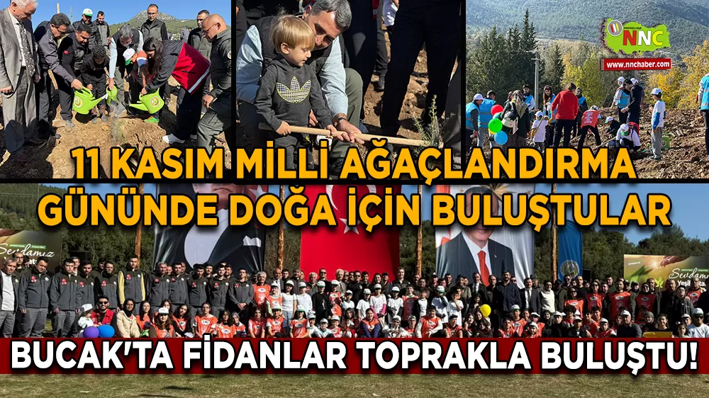 Bucak'ta fidanlar toprakla buluştu! 11 Kasım Milli Ağaçlandırma Gününde doğa için buluştular