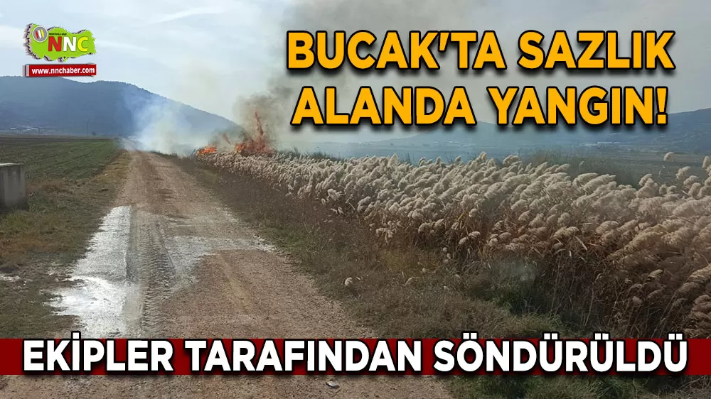 Bucak'ta sazlık alanda yangın! Ekipler tarafından söndürüldü