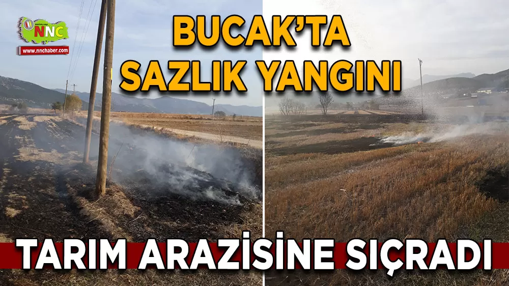 Bucak Üzümlübel’de sazlık yangını söndürüldü