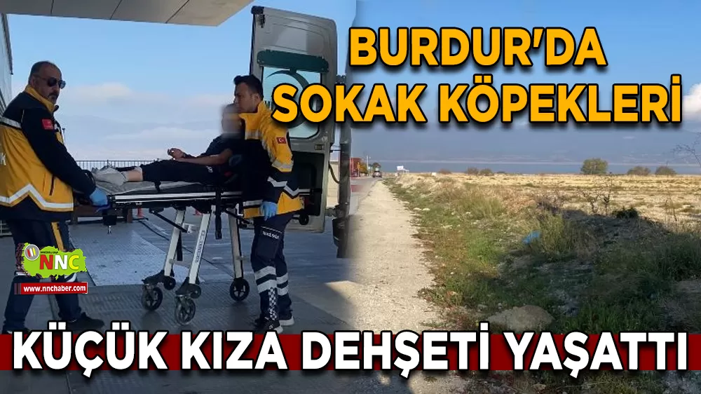 Burdur'da sokak köpekleri küçük kıza dehşeti yaşattı