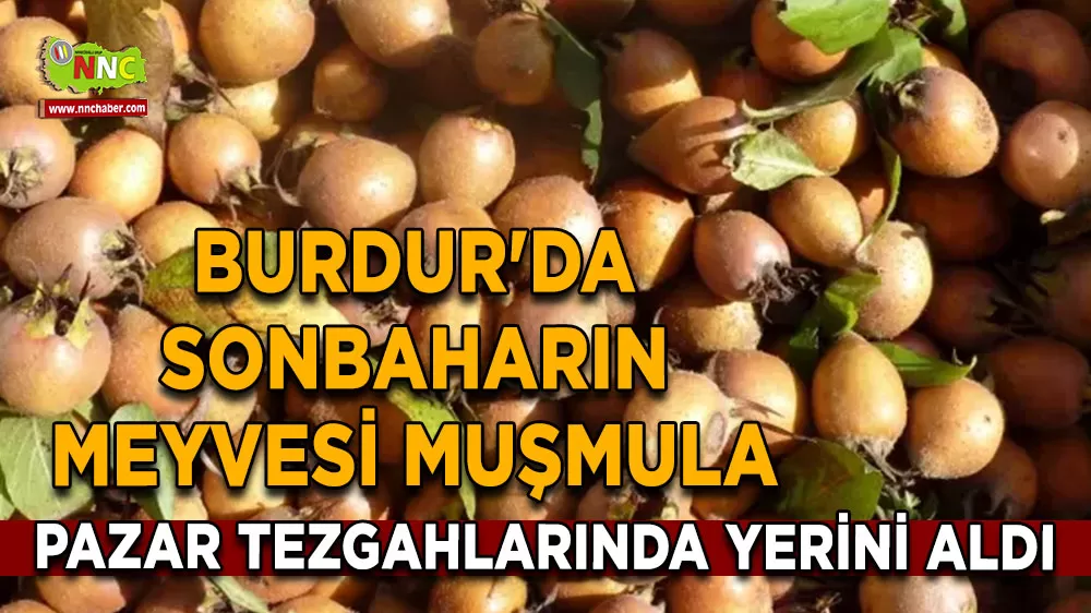 Burdur'da sonbaharın meyvesi muşmula pazar tezgahlarında yerini aldı