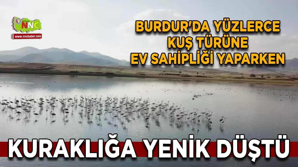 Burdur'da yüzlerce kuş türüne ev sahipliği yaparken kuraklığa yenik düştü