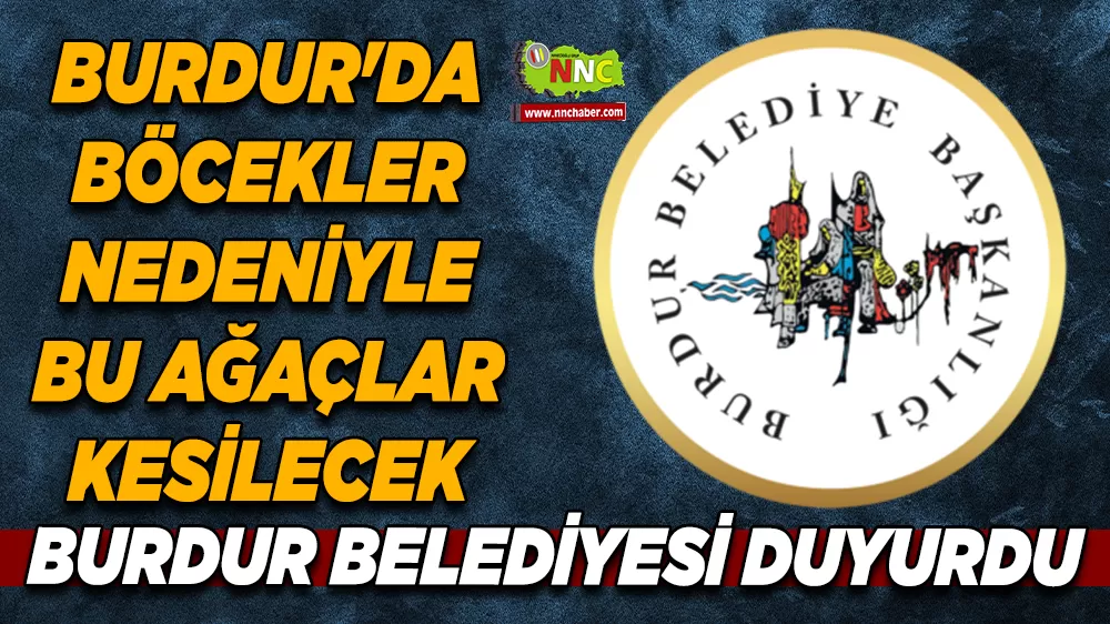 Burdur'da zararlı böcekler nedeniyle 6 kızılçam ağacı kesilecek
