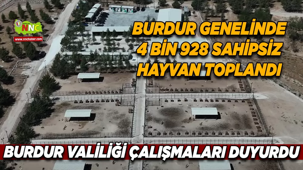 Burdur genelinde sokak hayvanlarına yönelik çalışmalar hız kazandı