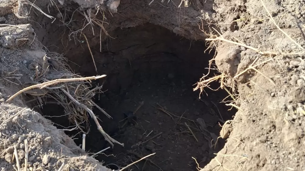 Çivril’de tarlada oluşan obruk korkuttu