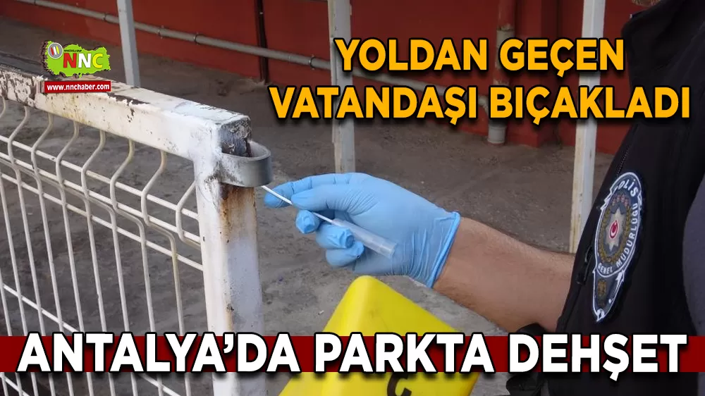 Eline aldığı bıçakla yoldan geçenlere dehşeti yaşattı: 1 yaralı