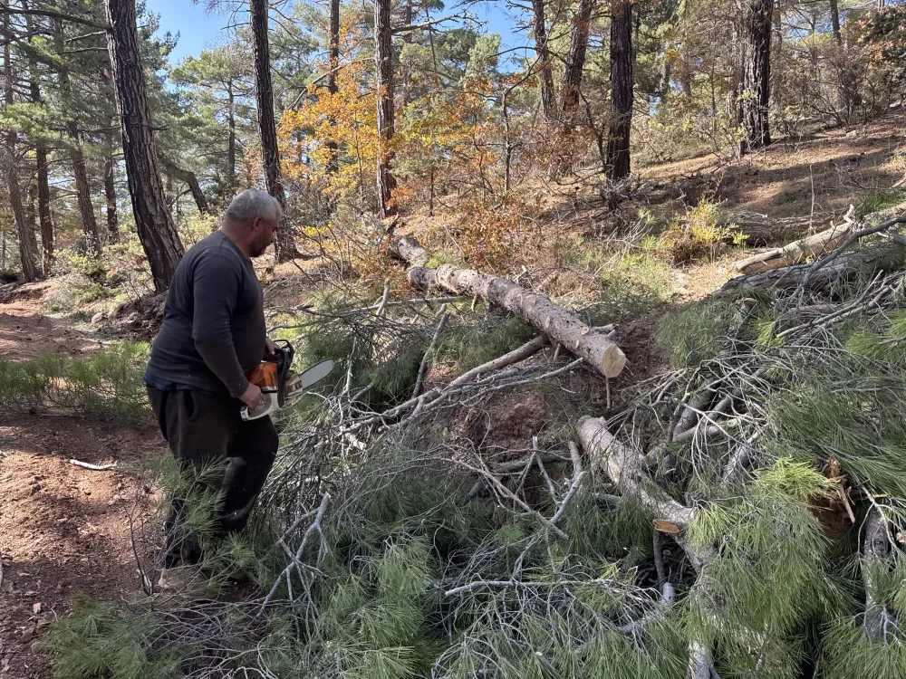 Karı-koca 35 yıldır ormanlarda damgalanan ağaçları kesiyorlar