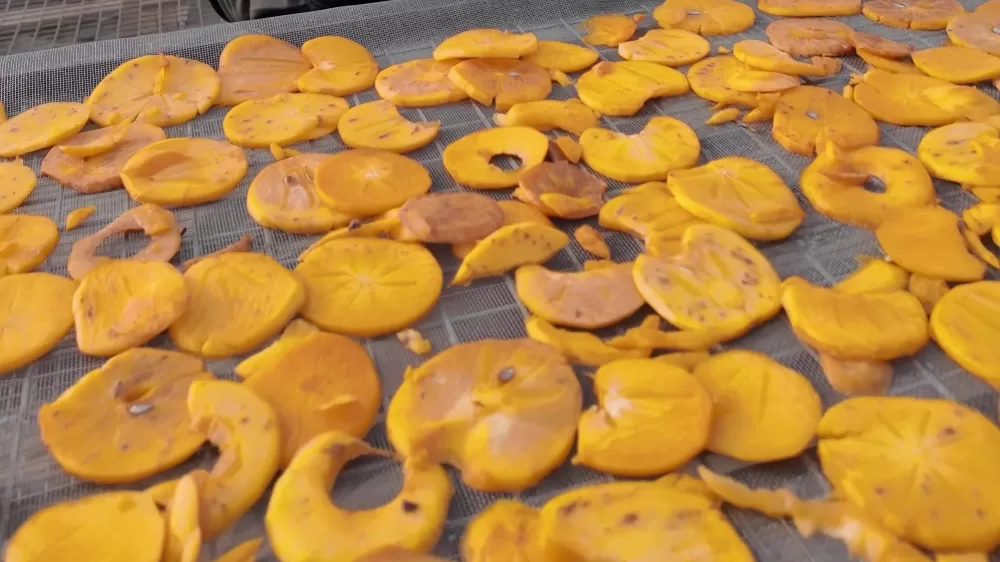 Honaz’ın meşhur cennet hurması bu kez cips olarak damakları şenlendirecek