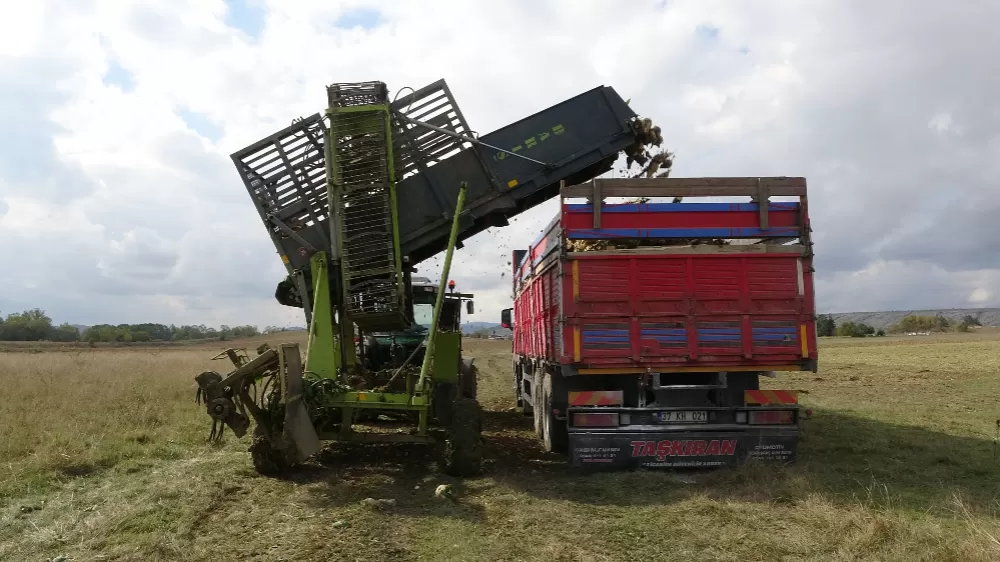  Kastamonu'da Özel makinelerle hasat yapan üreticiler gecede çalışmaya devam ediyor 