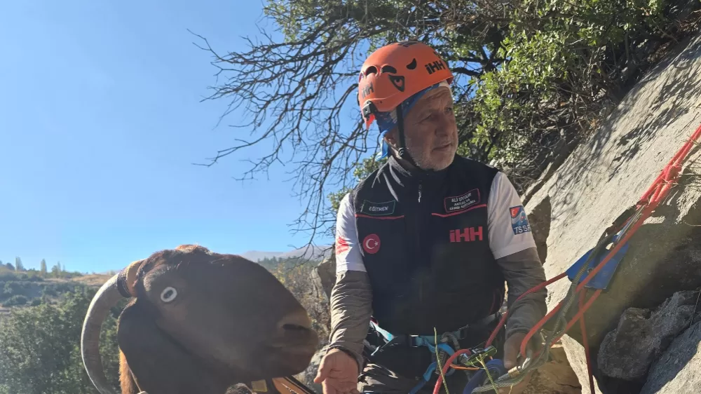 Kaya oyuğuna düşen ve 3 gün mahsur kalan keçi, film gibi operasyonla kurtarıldı