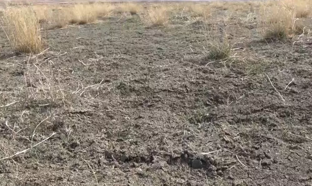 Burdur'da yüzlerce kuş türüne ev sahipliği yaparken kuraklığa yenik düştü