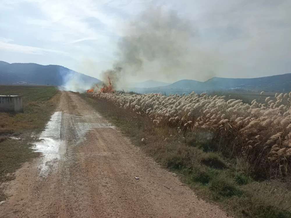 Bucak'ta sazlık alanda yangın! Ekipler tarafından söndürüldü