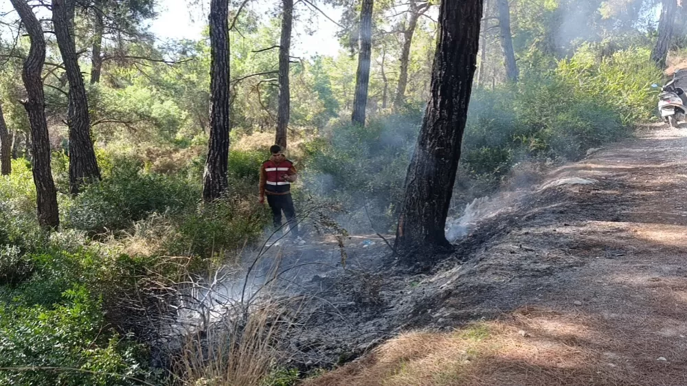 Ormanlık alanda çıkan yangını vatandaşlar söndürdü