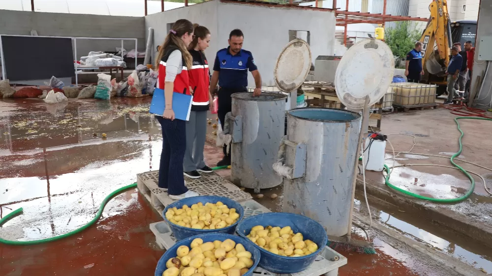 Sağlıksız şartlarda patates dilimleyen işletme mühürlendi