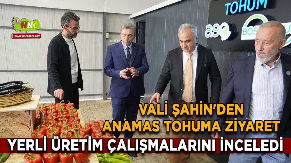 Vali Şahin'den Anamas Tohuma ziyaret Yerli üretim çalışmalarını inceledi