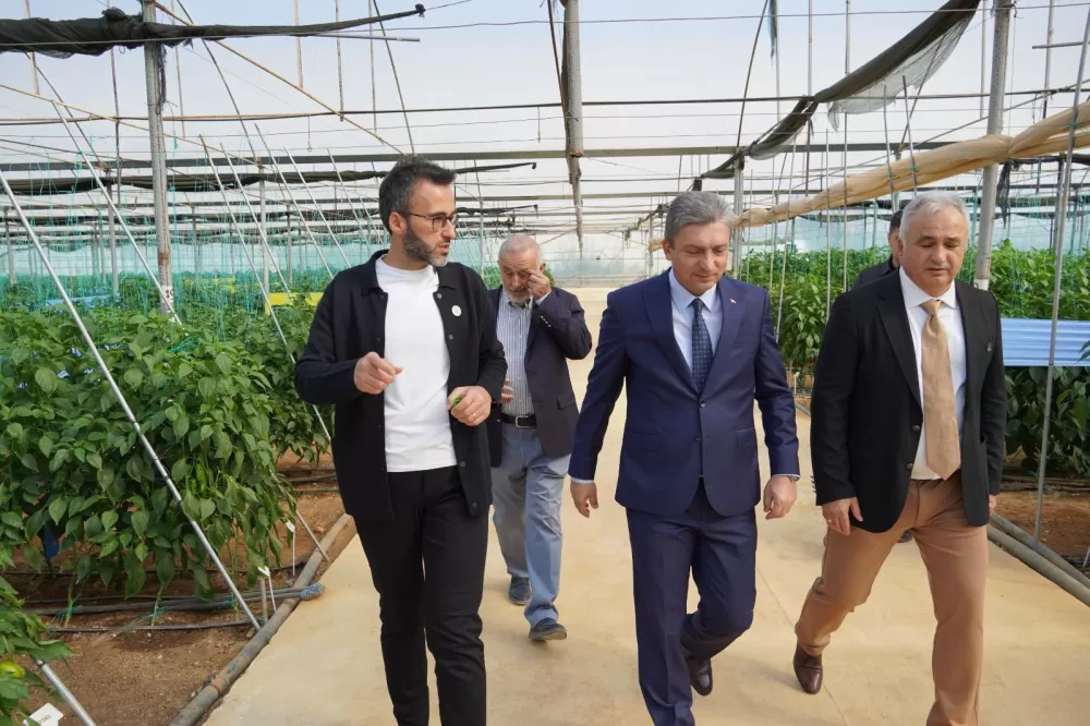 Vali Şahin'den Anamas Tohuma ziyaret Yerli üretim çalışmalarını inceledi