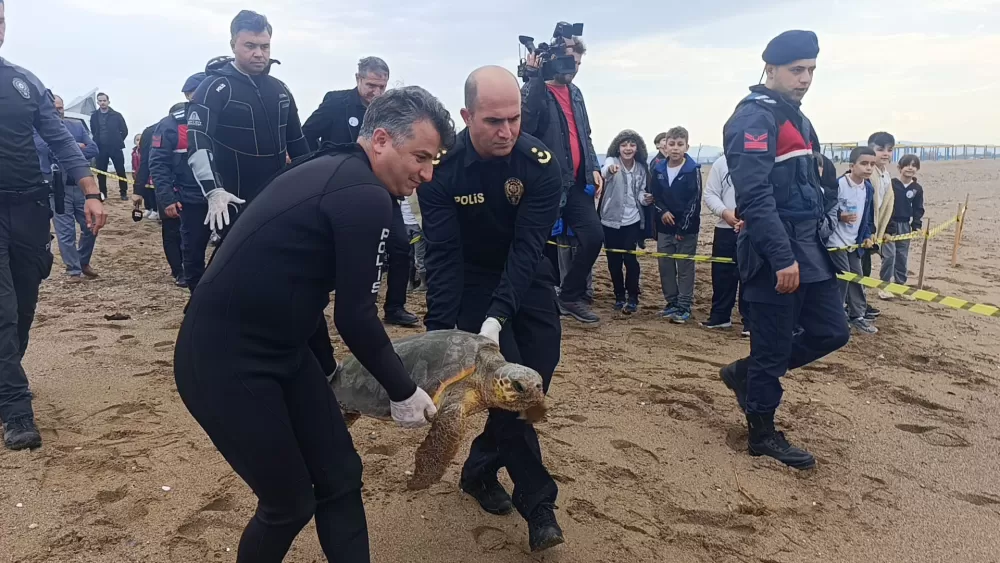 Antalya'da yaralı bulunan Caretta caretta tedavisinin ardından yeniden özgürlüğe kavuştu