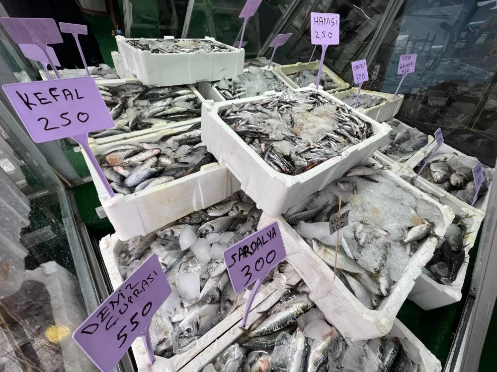 Harun Balıkçılık hizmete açıldı kampanyayı patlattı 10 çeşit balıkta şok açılış indirimi