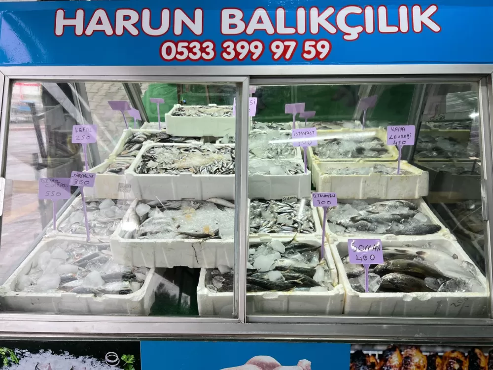 Harun Balıkçılık hizmete açıldı kampanyayı patlattı 10 çeşit balıkta şok açılış indirimi