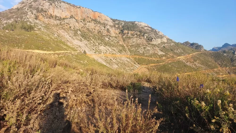 Dağda mantar toplarken yere yığıldı! 46 yaşındaki adamdan acı haber