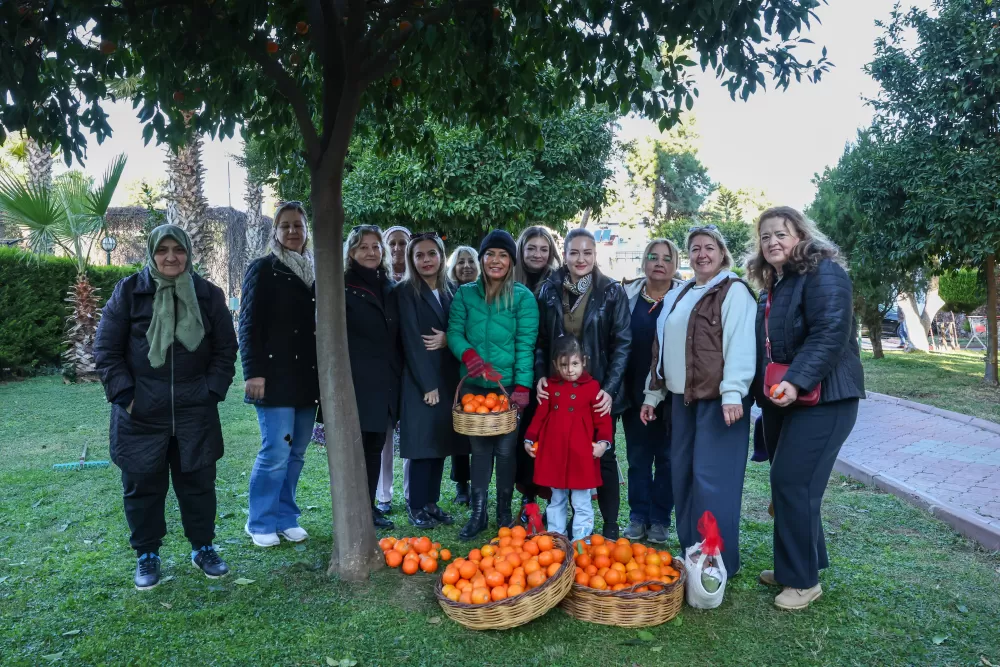 Antalya'nın turunçları Korkuteli'nden sofralara uzanıyor