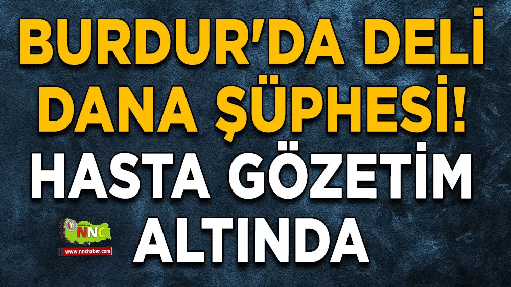Burdur'da deli dana şüphesi! Hasta gözetim altında