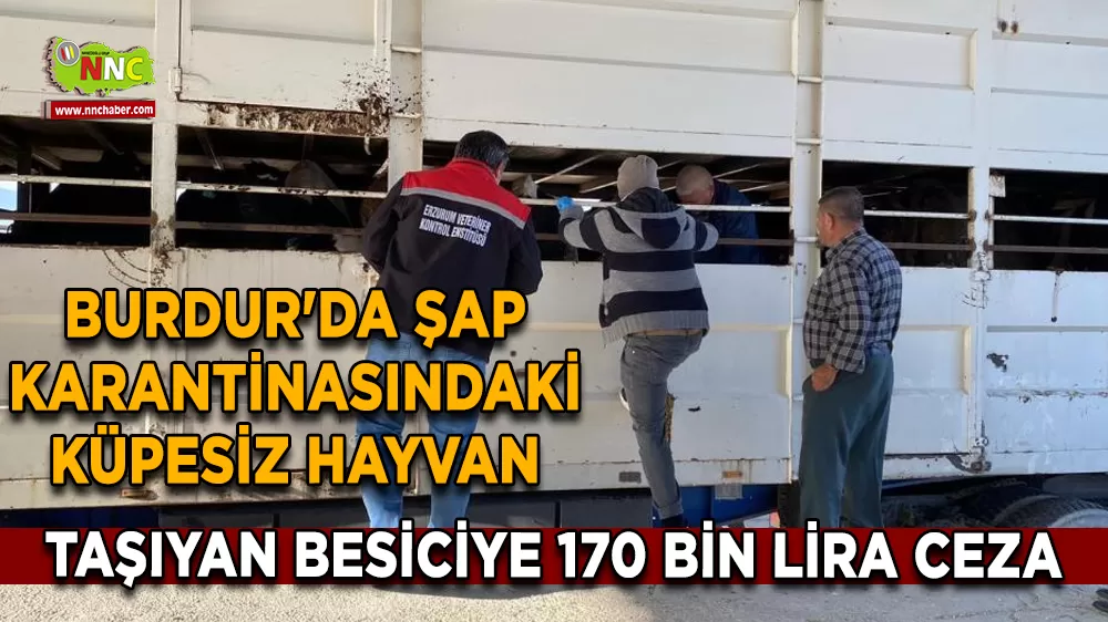 Burdur'da şap karantinasındaki küpesiz hayvan taşıyan besiciye 170 bin lira ceza