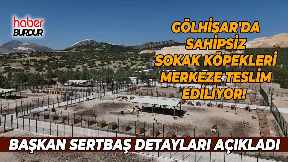 Gölhisar Belediyesi sokak köpekleri için çalışmalarını sürdürüyor
