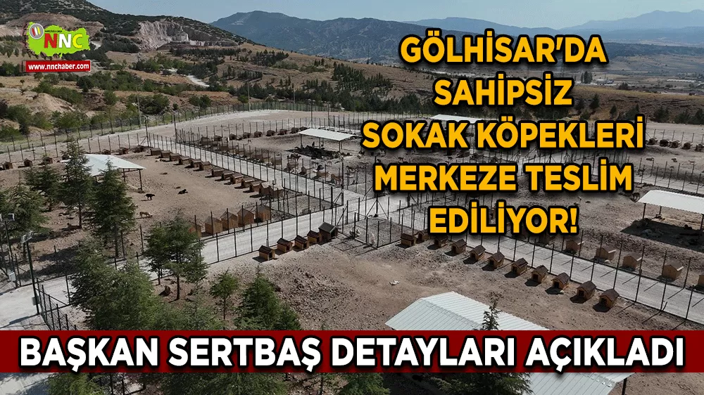 Gölhisar'da sahipsiz sokak köpekleri merkeze teslim ediliyor! Başkan Sertbaş detayları açıkladı