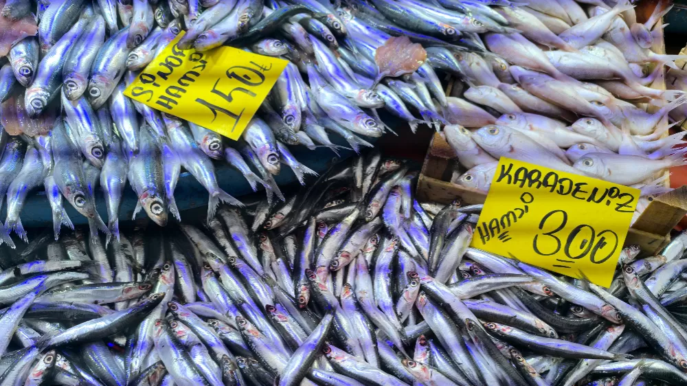 Havaların soğumasıyla balık tezgahlarında alışverişler hızlandı