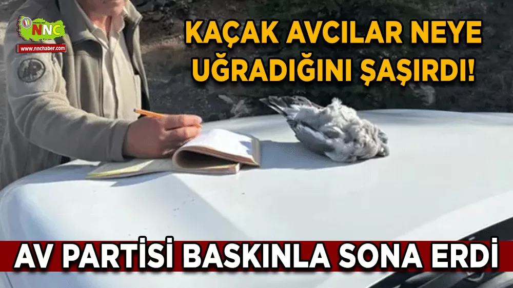 Kaçak avcılar neye uğradığını şaşırdı! Av partisi baskınla sona erdi