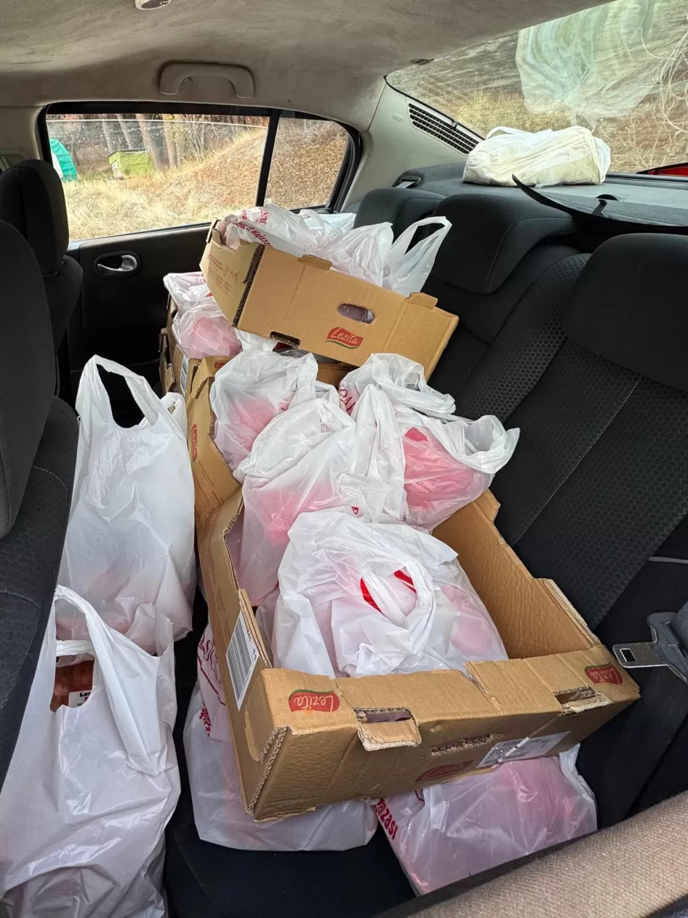 MHP Burdur'dan gıda yardımı! Şehidimizin annesinden teşekkür