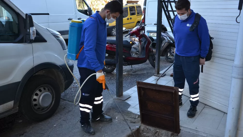 Vektörel mücadele çalışmaları devam ediyor