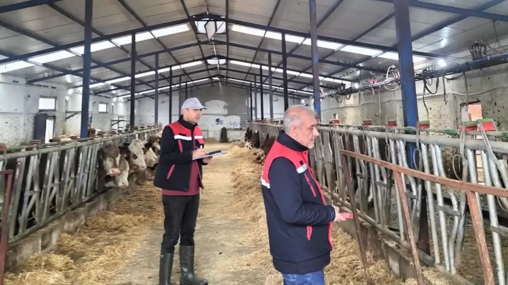 Besicilik işletmelerine yönelik ‘kapasite ölçümleri’ devam ediyor