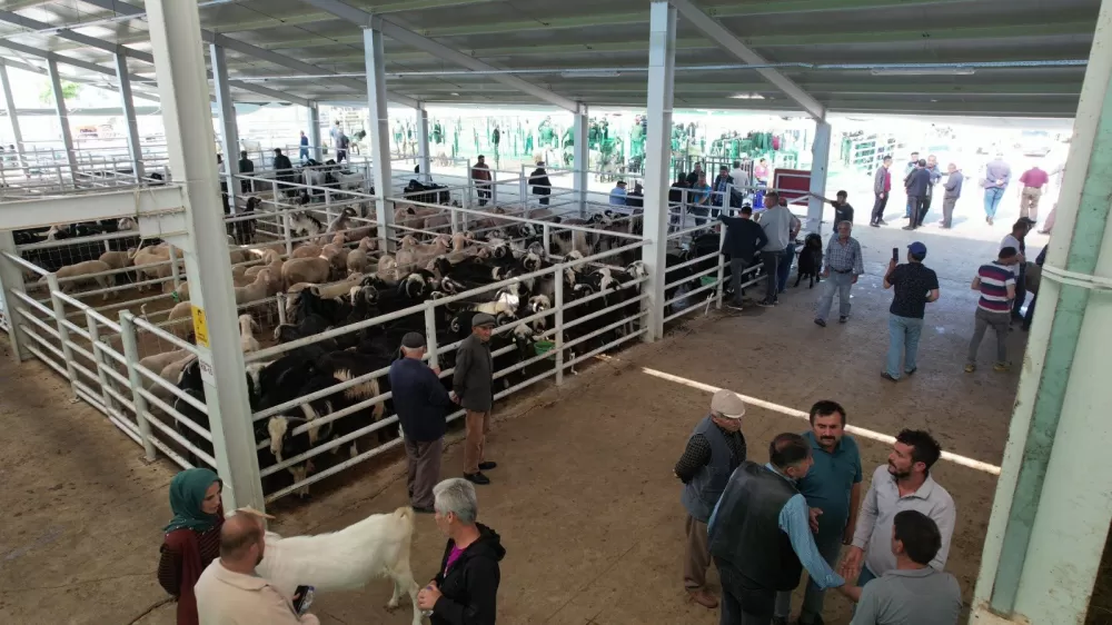 Korkuteli’de hayvan pazarı için karantina bitti Kapılar Çarşamba açılıyor