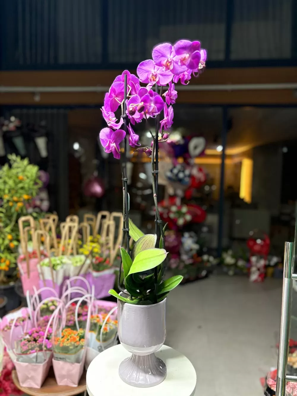 Çağdaş Çiçekçilik’ten 14 Şubat’a özel dev koleksiyon!