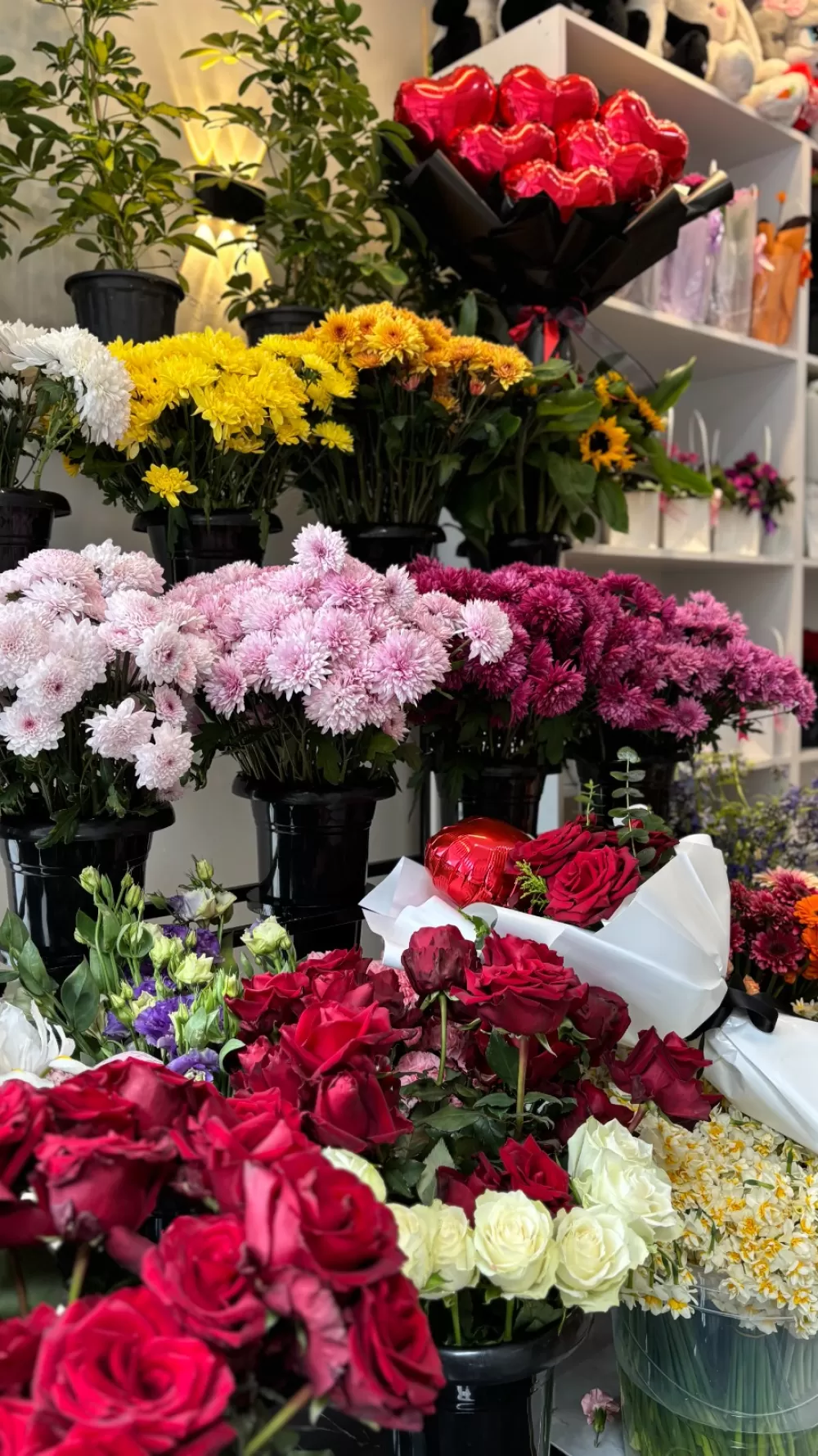 Bucak’ta aşkın yeni adresi Lotus Flower kapılarını açtı 14 Şubat'a anlam katın